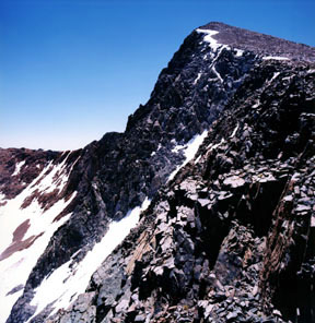 Mount Dana Summit
