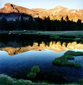 Mount Dana from Tioga Pass