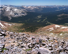 Tuolumne View