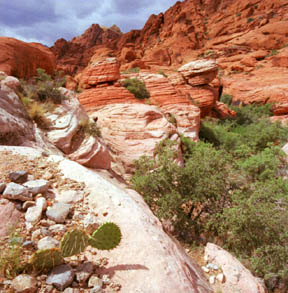 Calico Hills