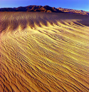 Mesquite Flat Sand Dunes No. 2